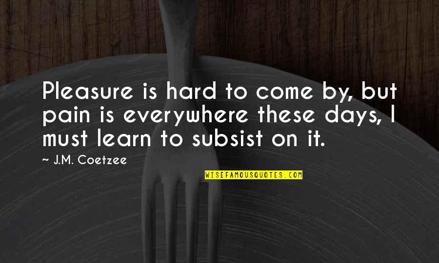 Subsist Quotes By J.M. Coetzee: Pleasure is hard to come by, but pain