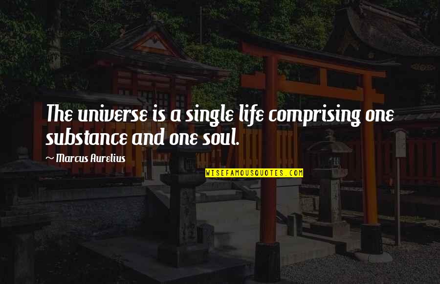 Substance In Life Quotes By Marcus Aurelius: The universe is a single life comprising one Substance In Life Quotes By Marcus Aurelius: The universe is a single life comprising one