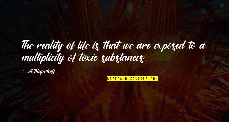 Substances Quotes By Al Meyerhoff: The reality of life is that we are