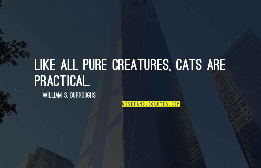 Substanceso Quotes By William S. Burroughs: Like all pure creatures, cats are practical.