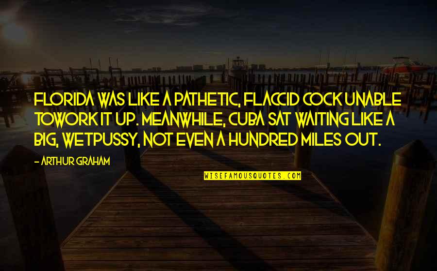 Substancia Pura Quotes By Arthur Graham: Florida was like a pathetic, flaccid cock unable Substancia Pura Quotes By Arthur Graham: Florida was like a pathetic, flaccid cock unable