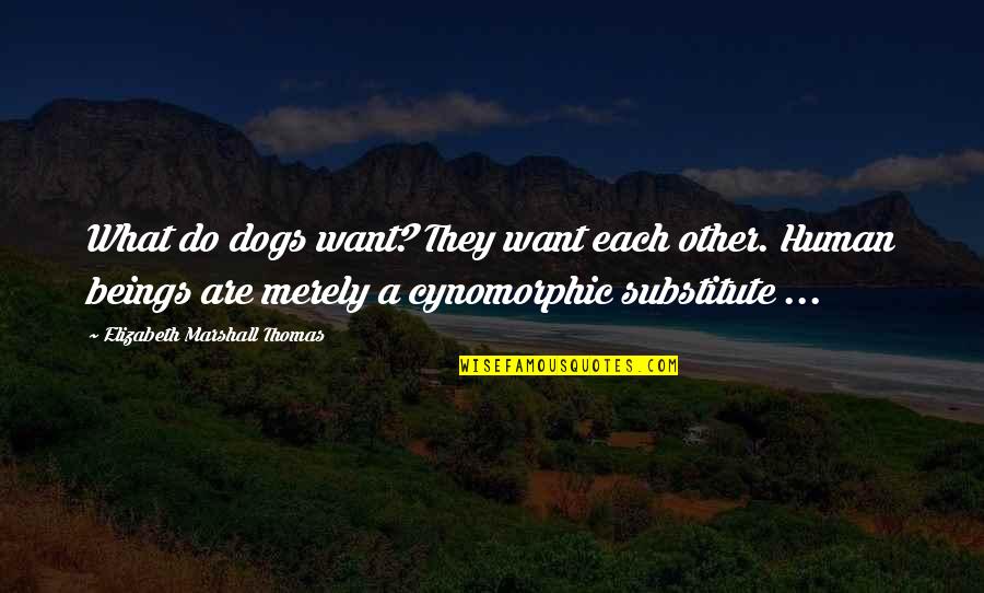 Substitutes Quotes By Elizabeth Marshall Thomas: What do dogs want? They want each other.