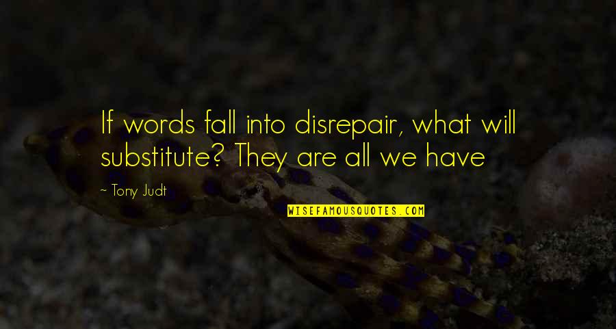 Substitutes Quotes By Tony Judt: If words fall into disrepair, what will substitute?