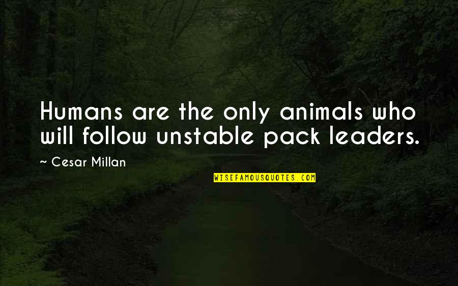 Subtitling Training Quotes By Cesar Millan: Humans are the only animals who will follow