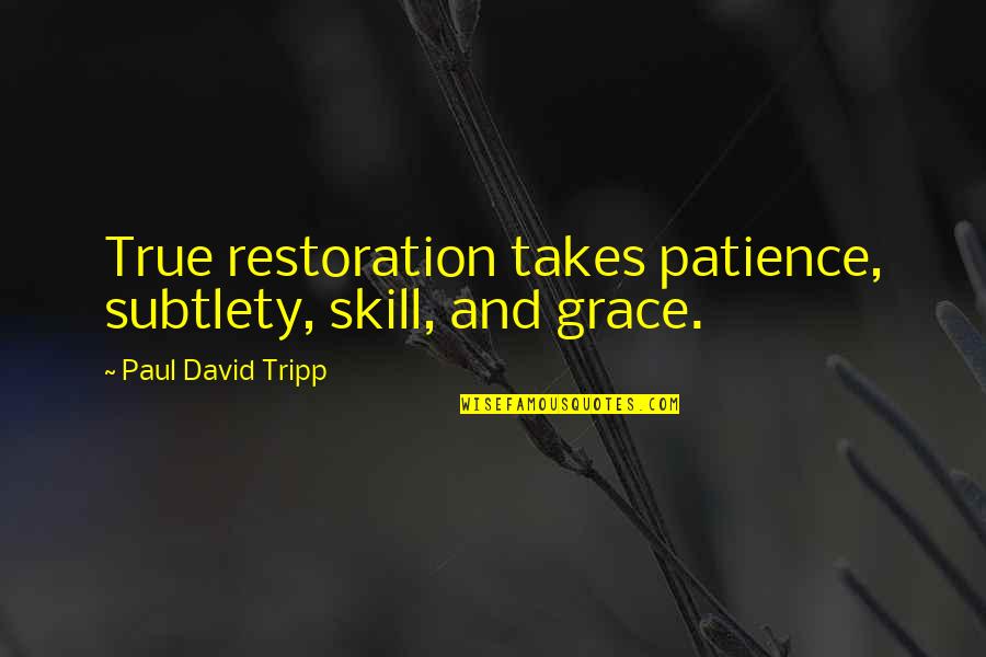 Subtlety's Quotes By Paul David Tripp: True restoration takes patience, subtlety, skill, and grace.