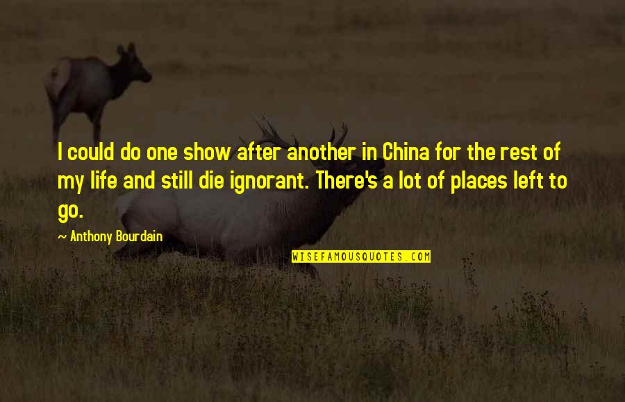 Succces Quotes By Anthony Bourdain: I could do one show after another in