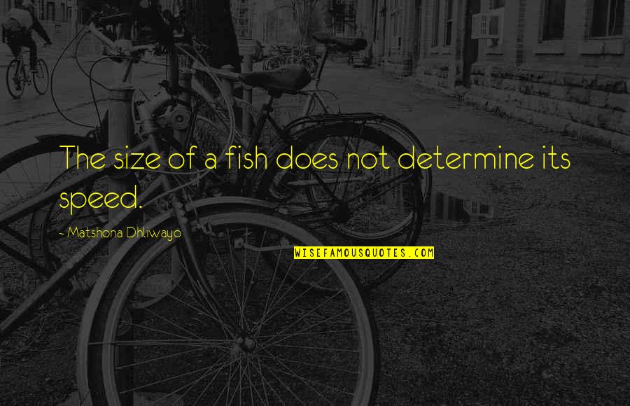 Succedaneum Quotes By Matshona Dhliwayo: The size of a fish does not determine Succedaneum Quotes By Matshona Dhliwayo: The size of a fish does not determine