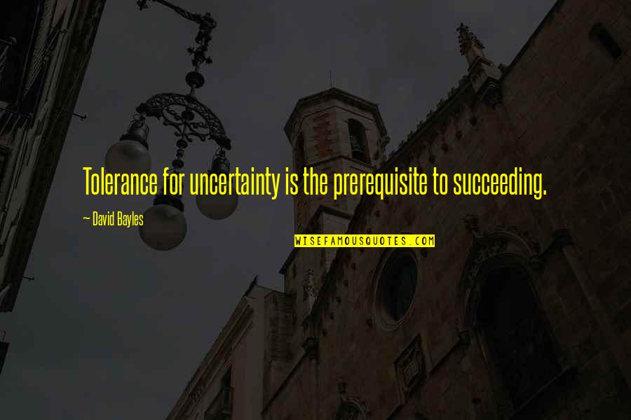 Succeeding Quotes By David Bayles: Tolerance for uncertainty is the prerequisite to succeeding.