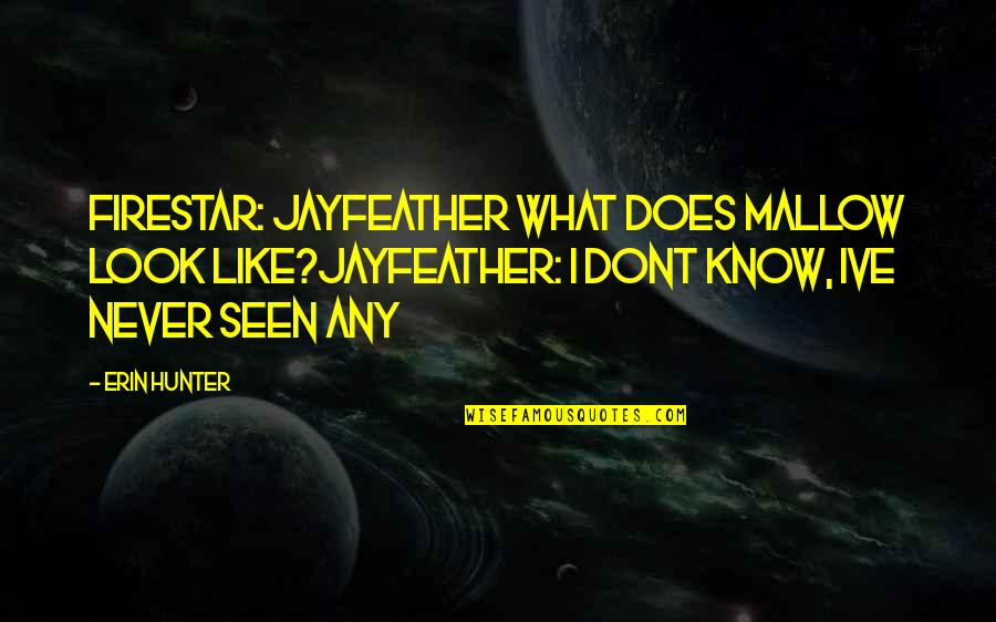 Succes Wensen Quotes By Erin Hunter: Firestar: jayfeather what does mallow look like?jayfeather: i Succes Wensen Quotes By Erin Hunter: Firestar: jayfeather what does mallow look like?jayfeather: i