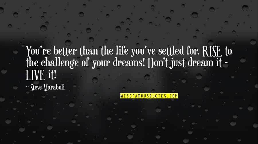 Success And Challenges Quotes By Steve Maraboli: You're better than the life you've settled for.