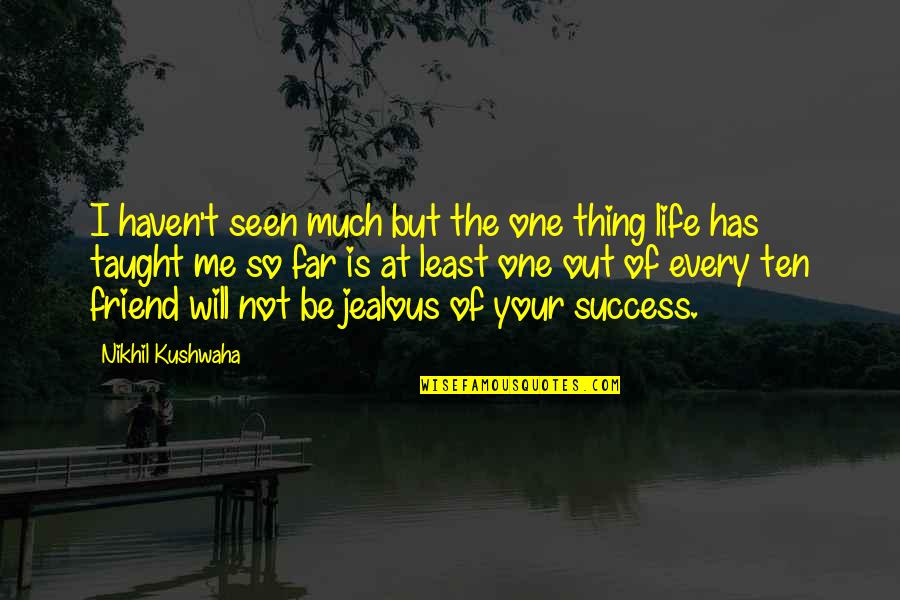 Success And Friendship Quotes By Nikhil Kushwaha: I haven't seen much but the one thing