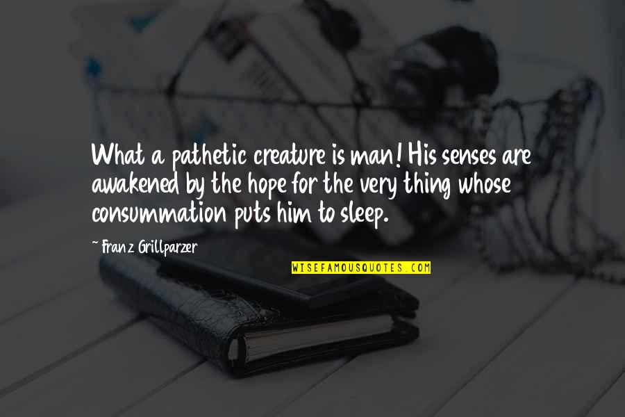 Success And Sleep Quotes By Franz Grillparzer: What a pathetic creature is man! His senses Success And Sleep Quotes By Franz Grillparzer: What a pathetic creature is man! His senses
