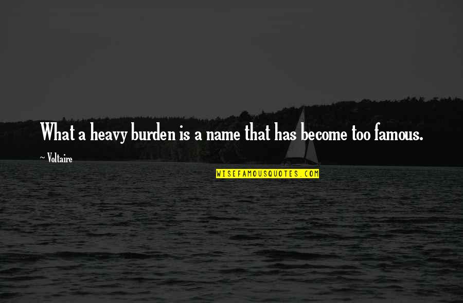 Success At The Expense Of Others Quotes By Voltaire: What a heavy burden is a name that