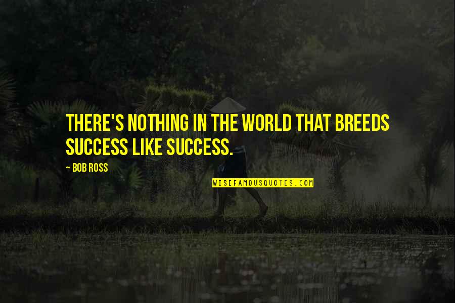 Success Breeds Quotes By Bob Ross: There's nothing in the world that breeds success