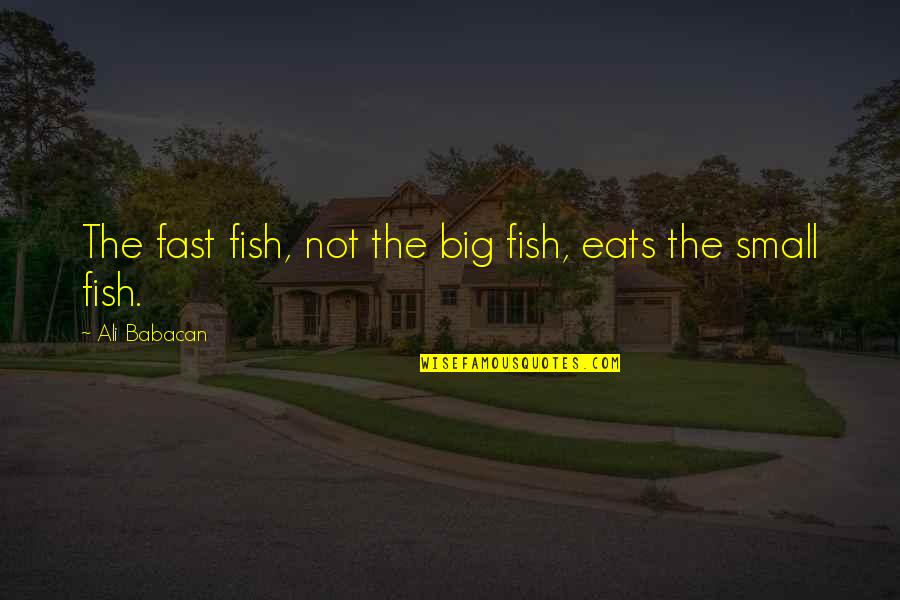 Success Gateway Quotes By Ali Babacan: The fast fish, not the big fish, eats