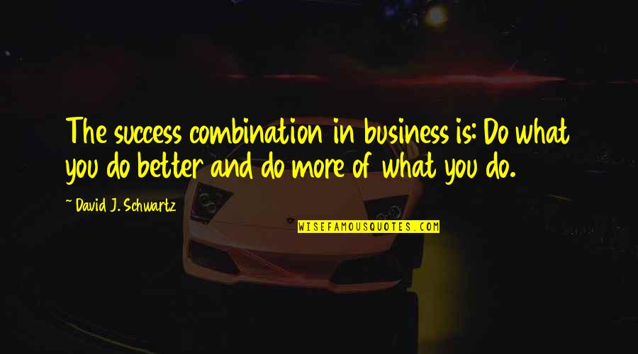 Success In Business Quotes By David J. Schwartz: The success combination in business is: Do what