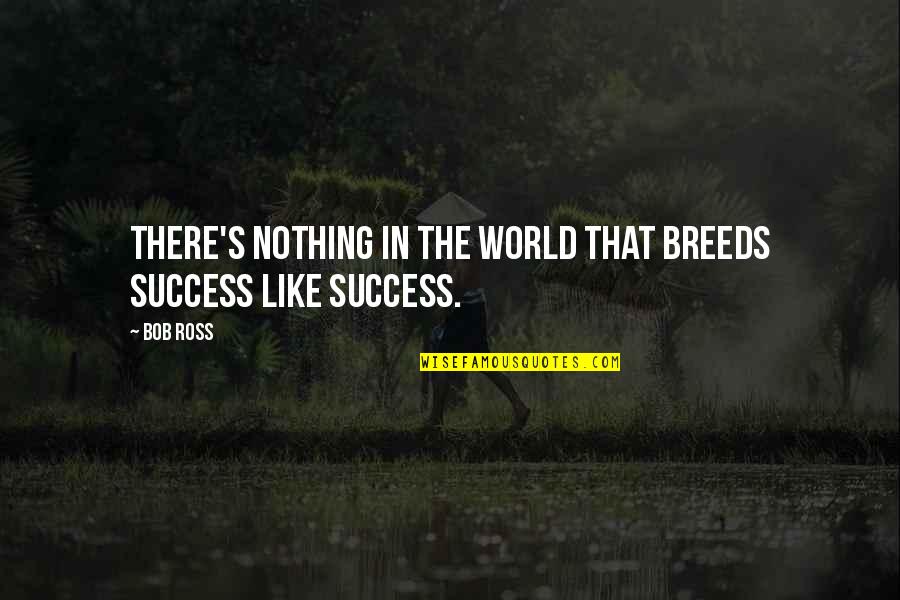 Success In The World Quotes By Bob Ross: There's nothing in the world that breeds success