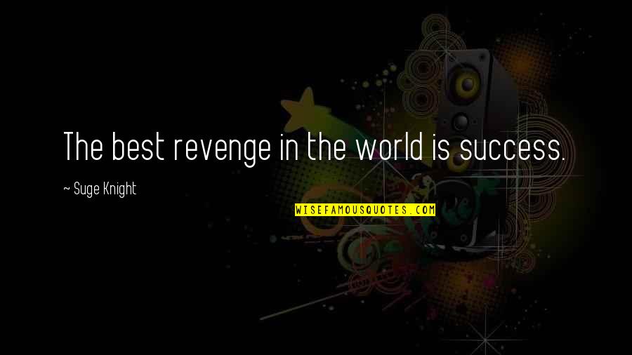 Success In The World Quotes By Suge Knight: The best revenge in the world is success.