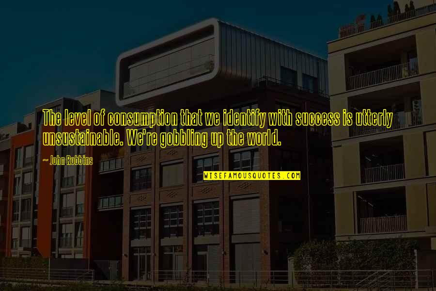 Success Inspiring Quotes By John Robbins: The level of consumption that we identify with Success Inspiring Quotes By John Robbins: The level of consumption that we identify with