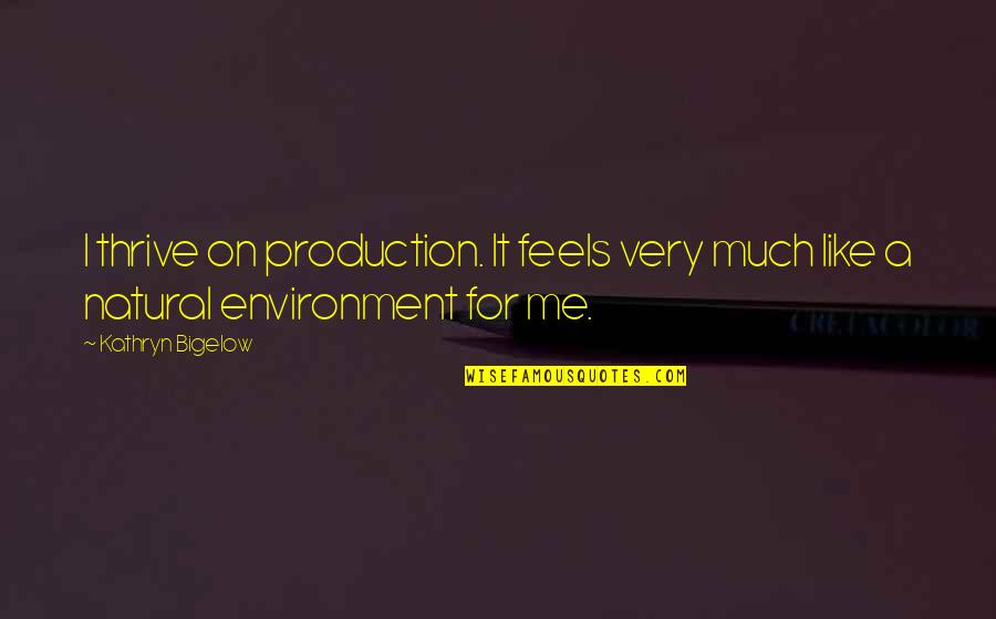 Success Is Earned Quotes By Kathryn Bigelow: I thrive on production. It feels very much