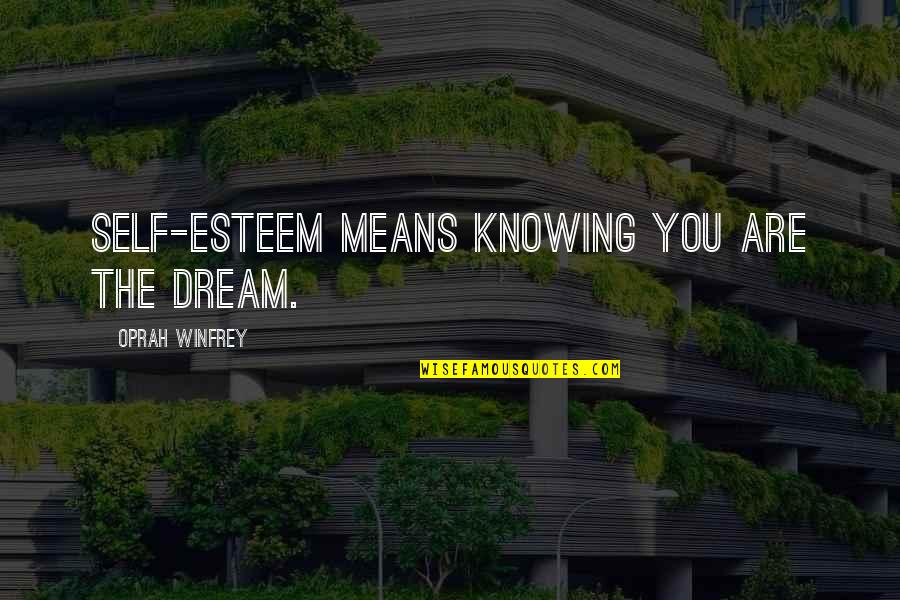 Success Means Quotes By Oprah Winfrey: Self-esteem means knowing you are the dream. Success Means Quotes By Oprah Winfrey: Self-esteem means knowing you are the dream.