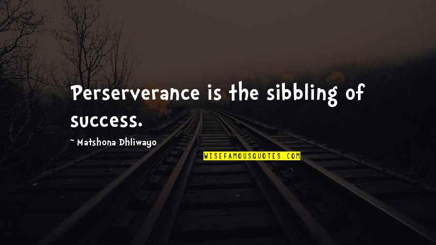 Success Perseverance Quotes By Matshona Dhliwayo: Perserverance is the sibbling of success.