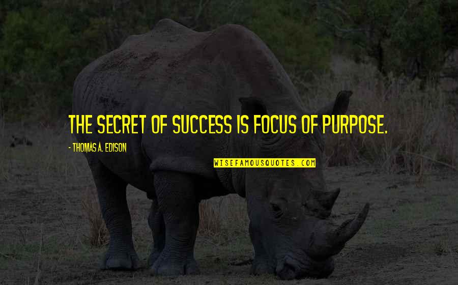 Success Purpose Quotes By Thomas A. Edison: The secret of success is focus of purpose.