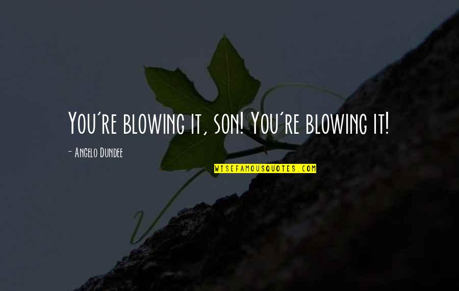 Success Sharing Quotes By Angelo Dundee: You're blowing it, son! You're blowing it! Success Sharing Quotes By Angelo Dundee: You're blowing it, son! You're blowing it!