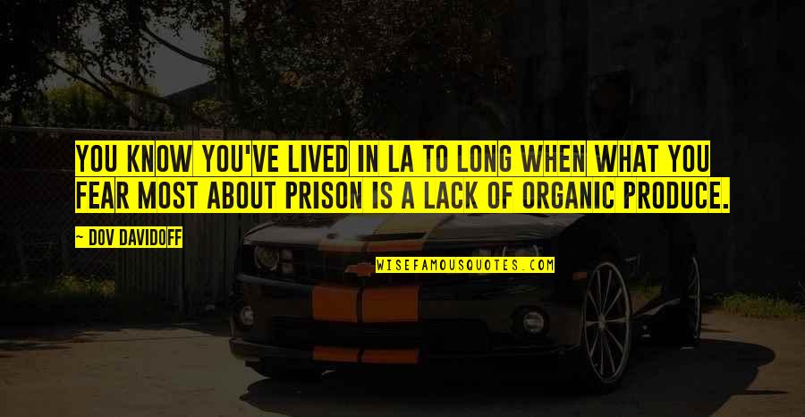 Success Someday Quotes By Dov Davidoff: You know you've lived in LA to long