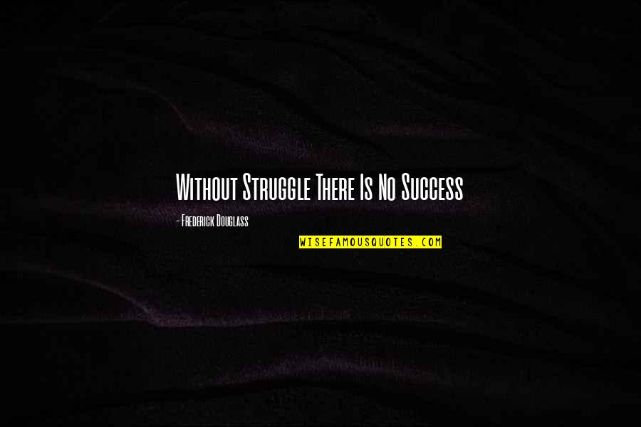 Success Without Struggle Quotes By Frederick Douglass: Without Struggle There Is No Success