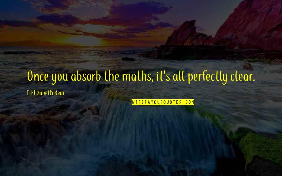 Successful Organizations Quotes By Elizabeth Bear: Once you absorb the maths, it's all perfectly