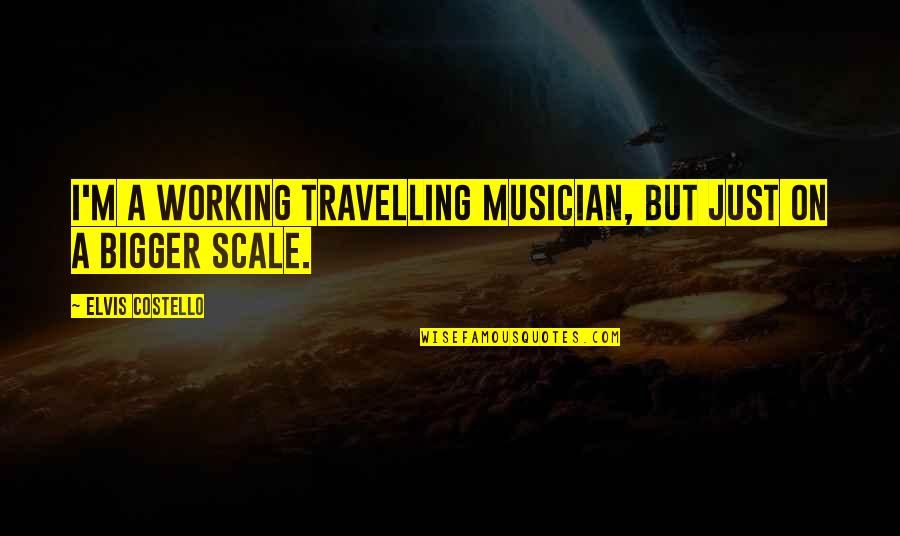 Successful Partnerships Quotes By Elvis Costello: I'm a working travelling musician, but just on Successful Partnerships Quotes By Elvis Costello: I'm a working travelling musician, but just on
