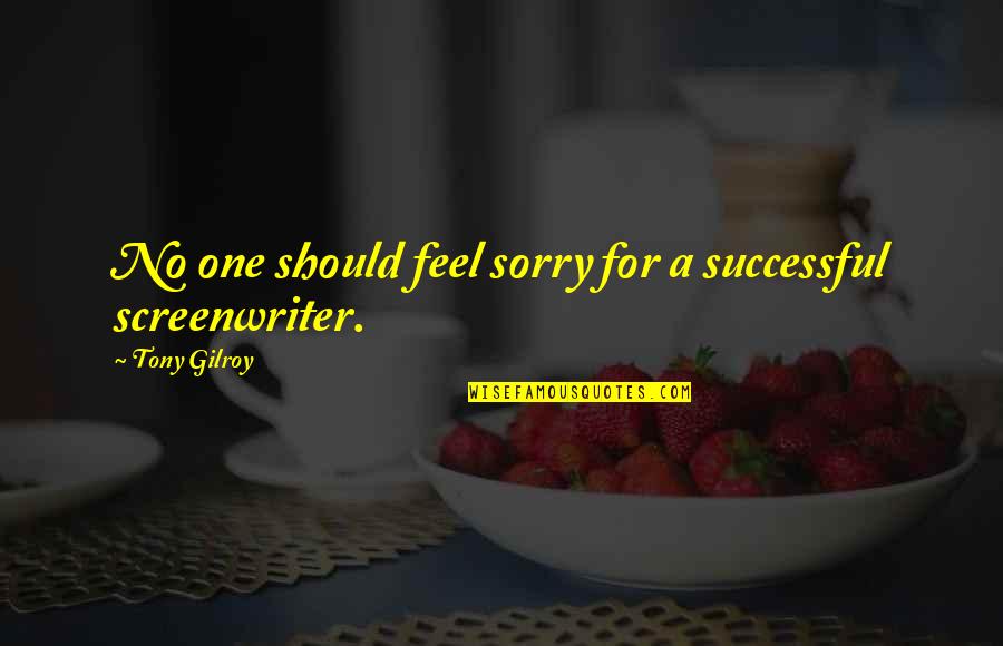 Successful Quotes By Tony Gilroy: No one should feel sorry for a successful