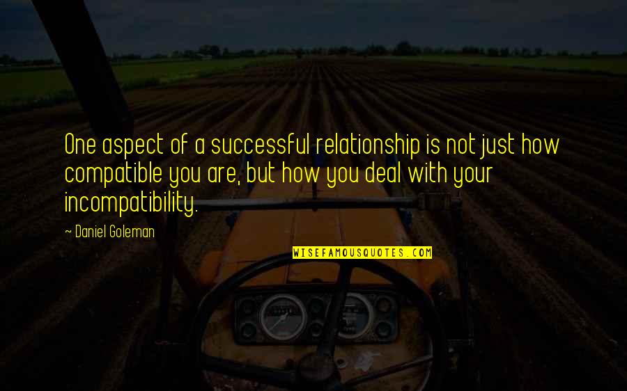 Successful Relationship Quotes By Daniel Goleman: One aspect of a successful relationship is not