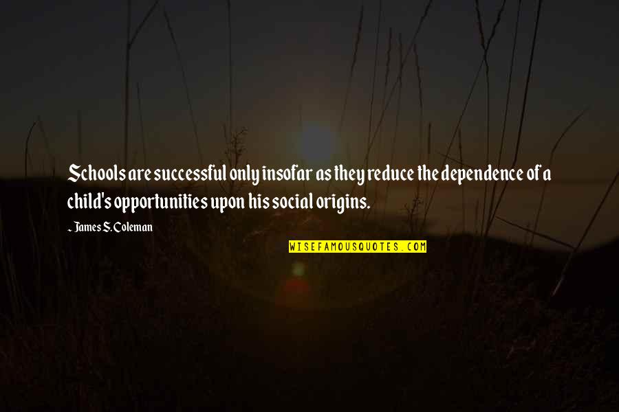 Successful Schools Quotes By James S. Coleman: Schools are successful only insofar as they reduce Successful Schools Quotes By James S. Coleman: Schools are successful only insofar as they reduce