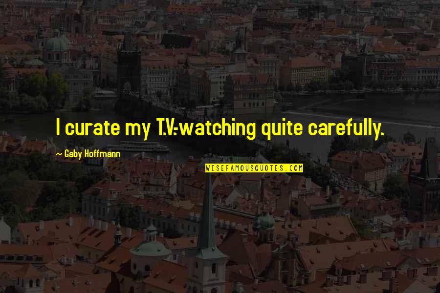 Successfully Completed 2 Years Quotes By Gaby Hoffmann: I curate my T.V.-watching quite carefully.