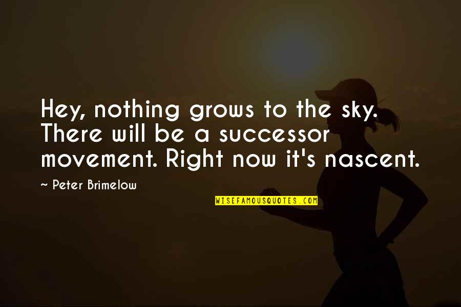 Successor Quotes By Peter Brimelow: Hey, nothing grows to the sky. There will Successor Quotes By Peter Brimelow: Hey, nothing grows to the sky. There will