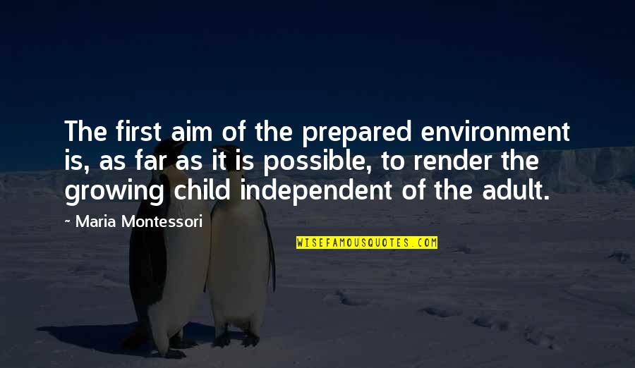 Succinctly Pronounce Quotes By Maria Montessori: The first aim of the prepared environment is,