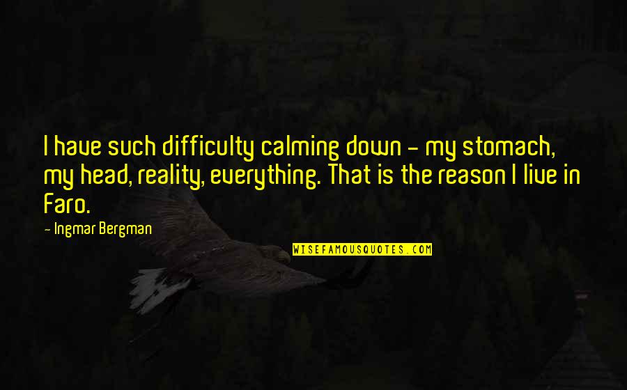 Succulent Life Quotes By Ingmar Bergman: I have such difficulty calming down - my