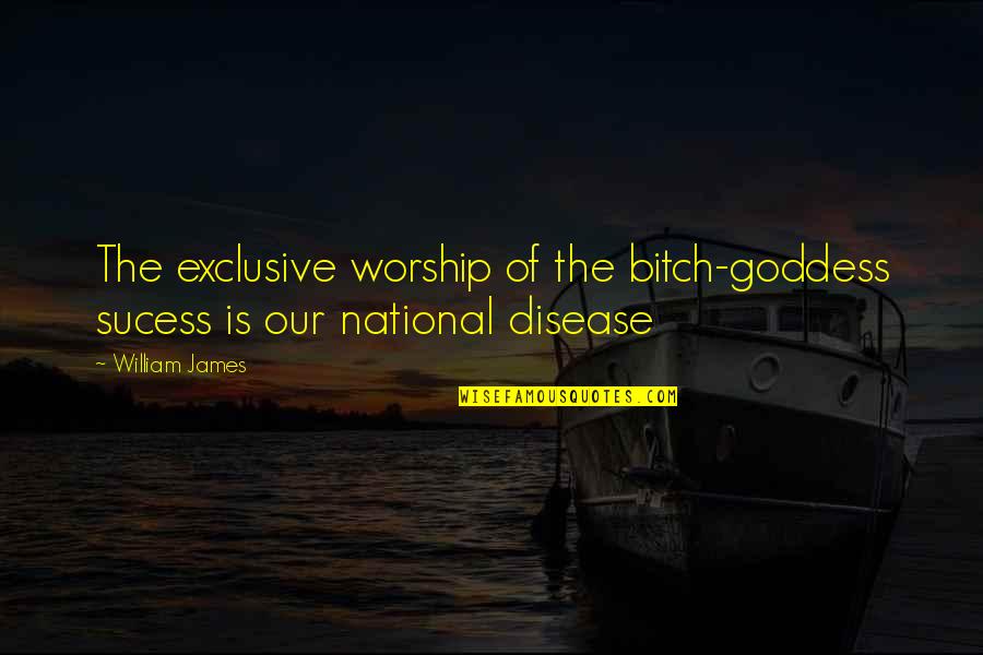 Sucess Quotes By William James: The exclusive worship of the bitch-goddess sucess is