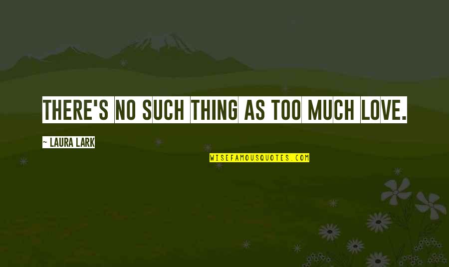 Such Love Quotes By Laura Lark: There's no such thing as too much love.