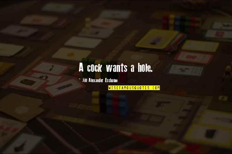 Suchaj Kolego Quotes By Jill Alexander Essbaum: A cock wants a hole. Suchaj Kolego Quotes By Jill Alexander Essbaum: A cock wants a hole.