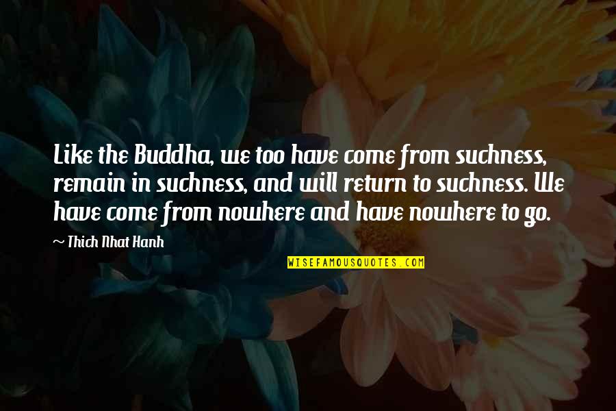 Suchness Quotes By Thich Nhat Hanh: Like the Buddha, we too have come from