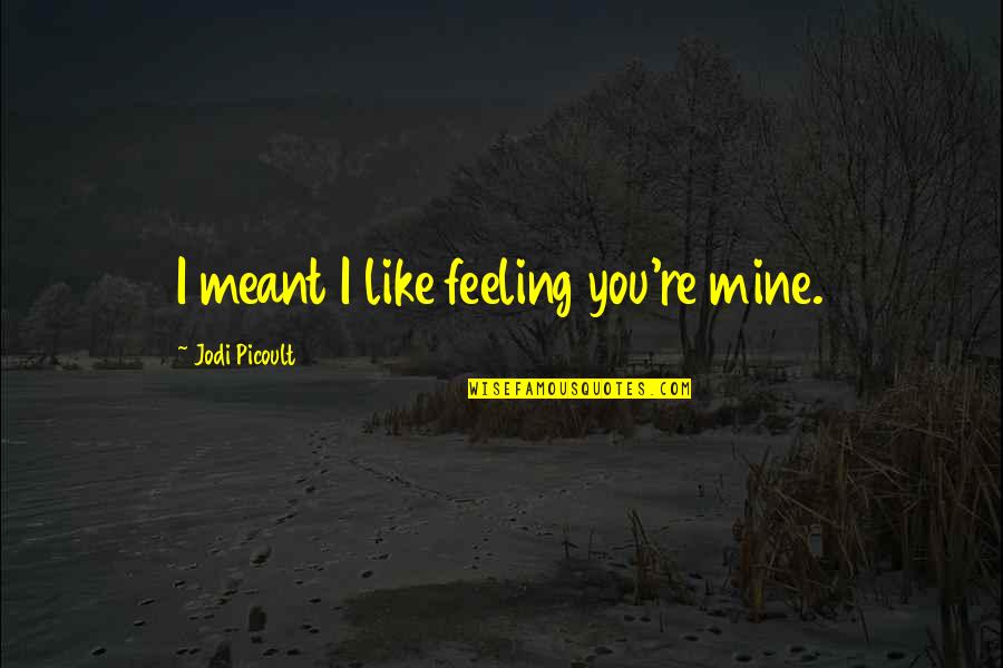 Suchomel Petr Quotes By Jodi Picoult: I meant I like feeling you're mine.