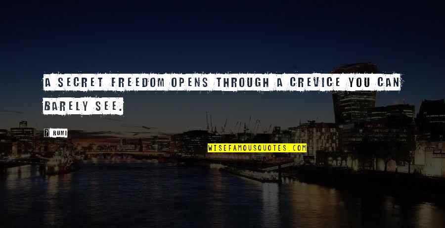 Suchow Periodontist Quotes By Rumi: A secret freedom opens through a crevice you