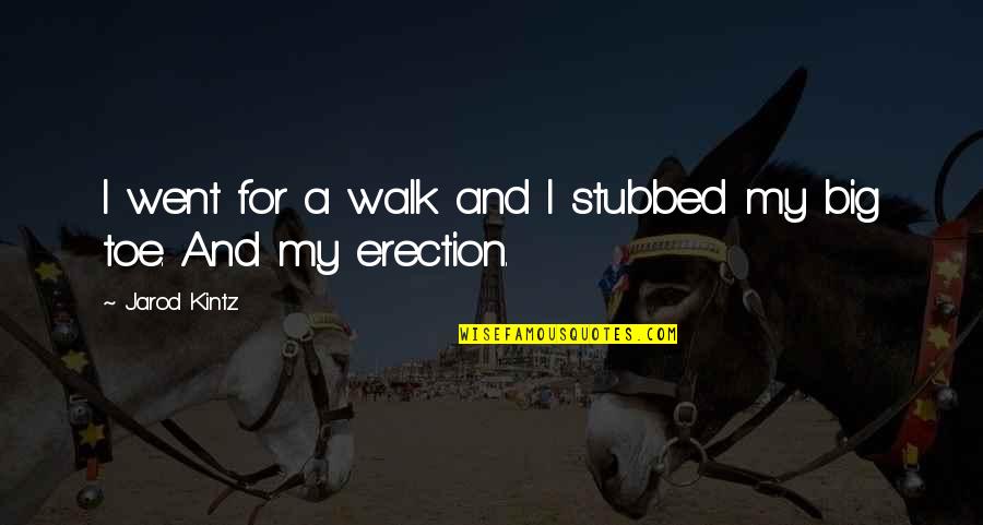 Sucio Y Quotes By Jarod Kintz: I went for a walk and I stubbed