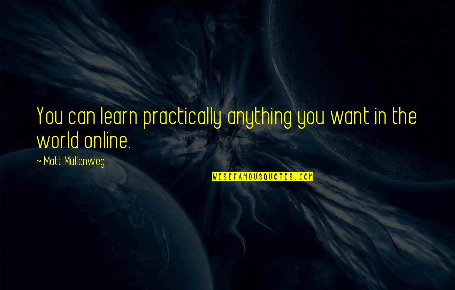 Sucumbir Rae Quotes By Matt Mullenweg: You can learn practically anything you want in Sucumbir Rae Quotes By Matt Mullenweg: You can learn practically anything you want in
