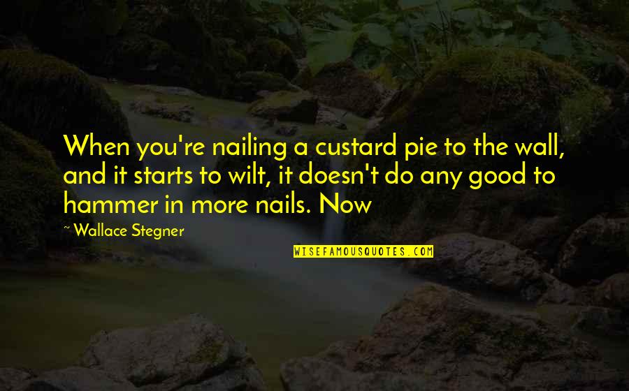 Sudario Significado Quotes By Wallace Stegner: When you're nailing a custard pie to the