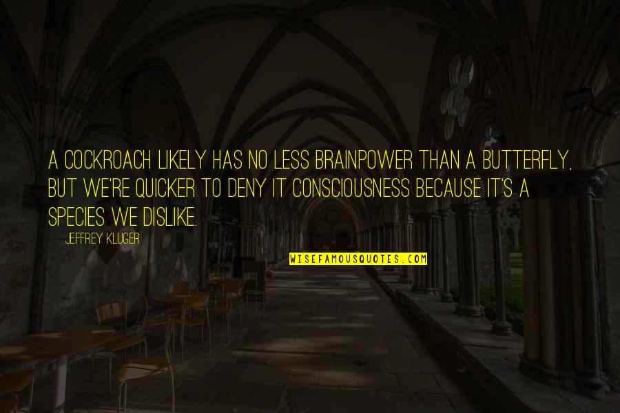 Suddaby Stowe Quotes By Jeffrey Kluger: A cockroach likely has no less brainpower than Suddaby Stowe Quotes By Jeffrey Kluger: A cockroach likely has no less brainpower than