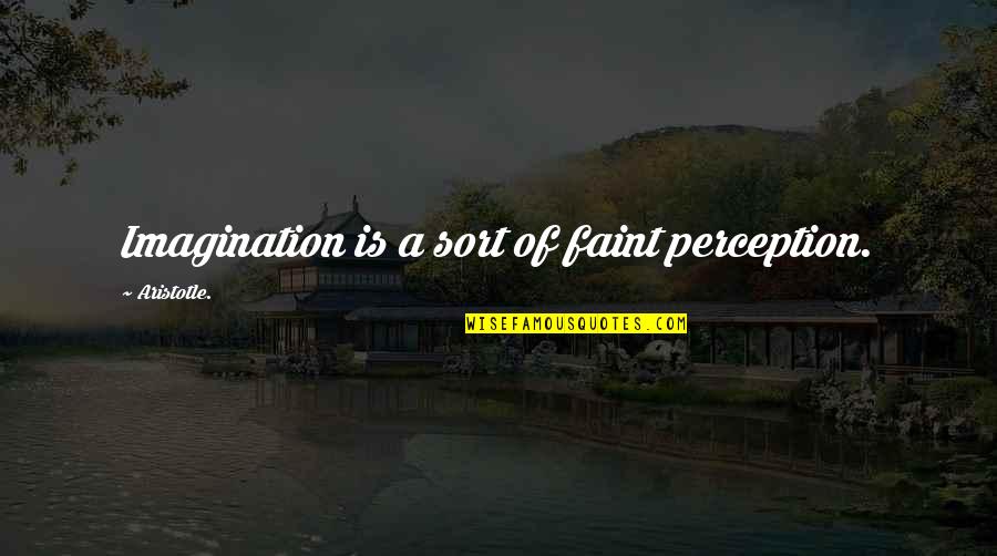Sudden Friendship Quotes By Aristotle.: Imagination is a sort of faint perception.
